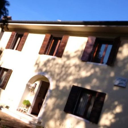 Villa Dei Pini Villorba Bagian luar foto
